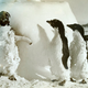Illustration for article titled Strange Historic Photos From Antarctica and Other Kingdoms of Ice